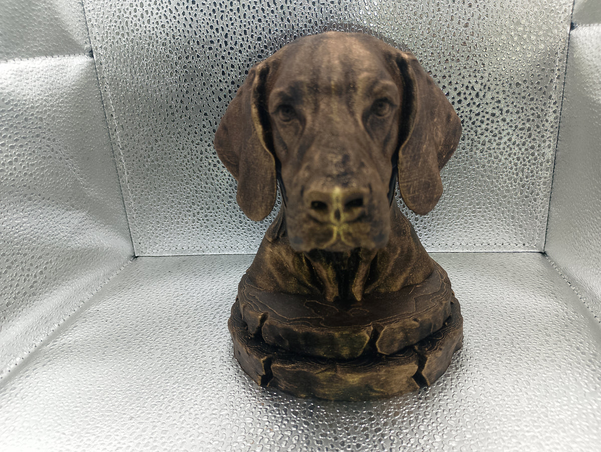 Foxhound Bust