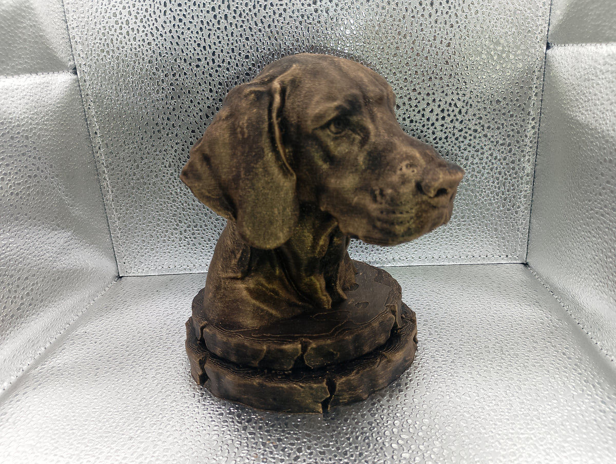 Foxhound Bust
