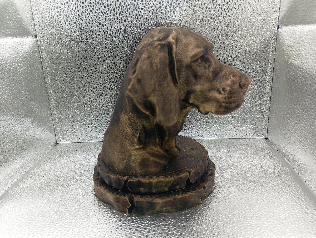 Foxhound Bust