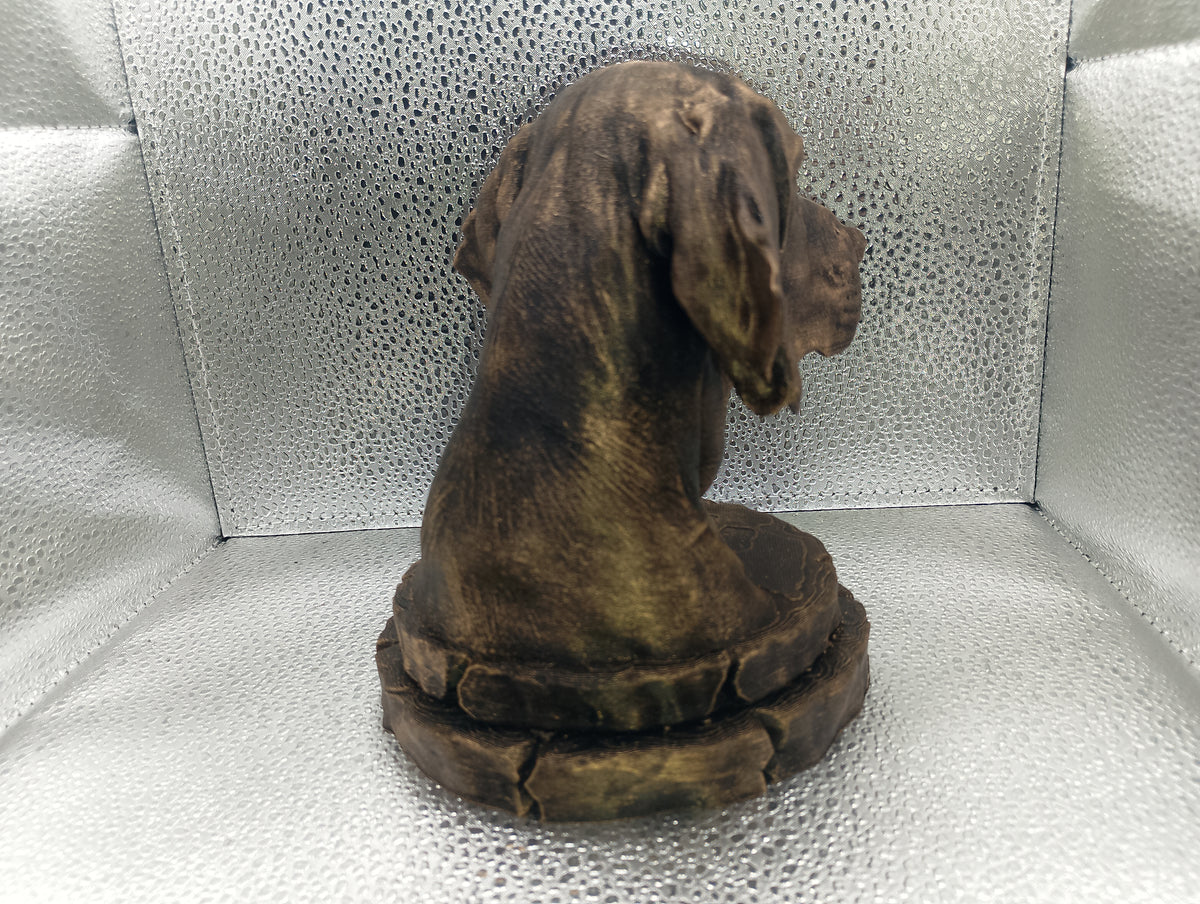 Foxhound Bust