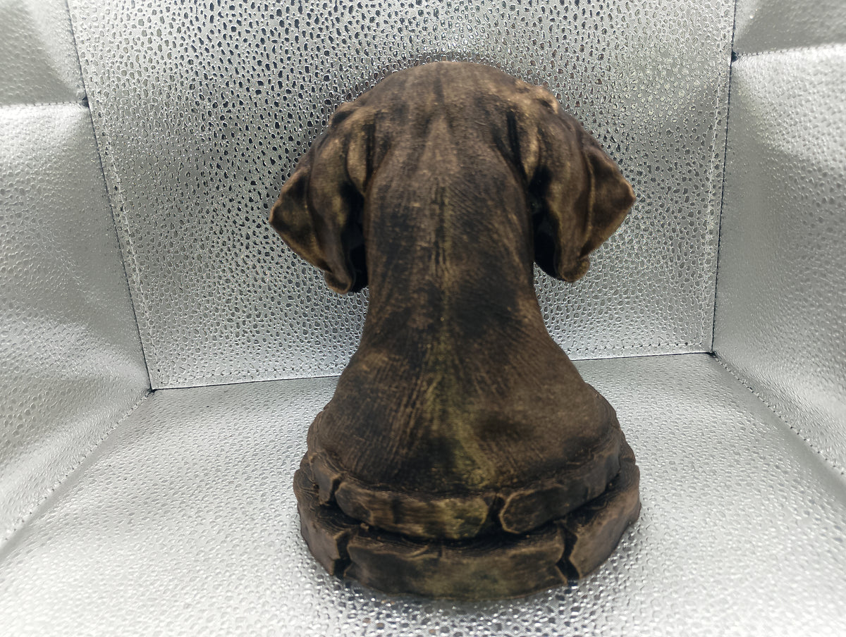 Foxhound Bust
