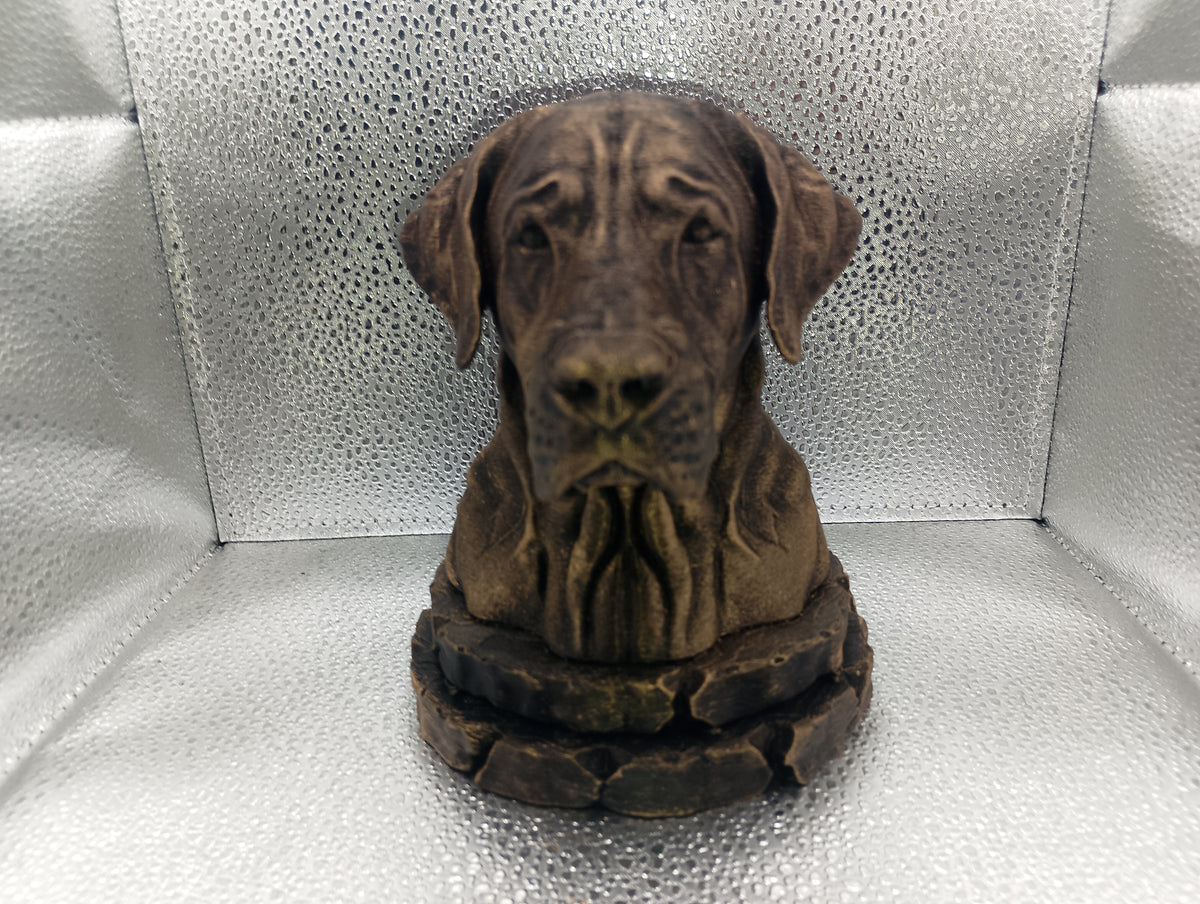 Broholmer Bust