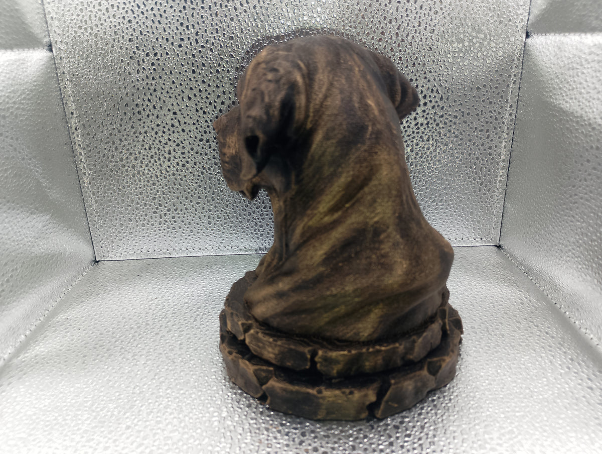 Broholmer Bust