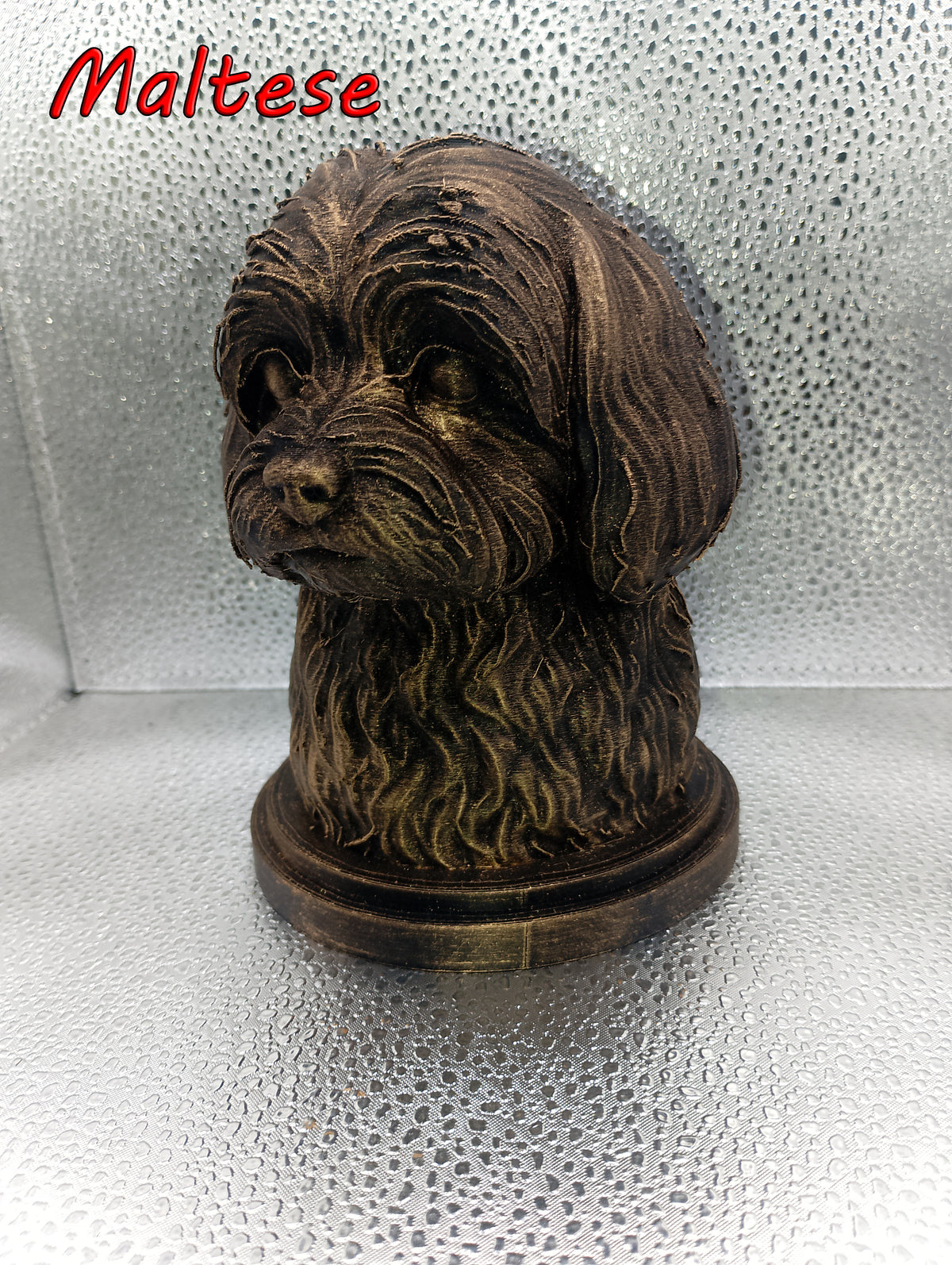 Maltese Bust