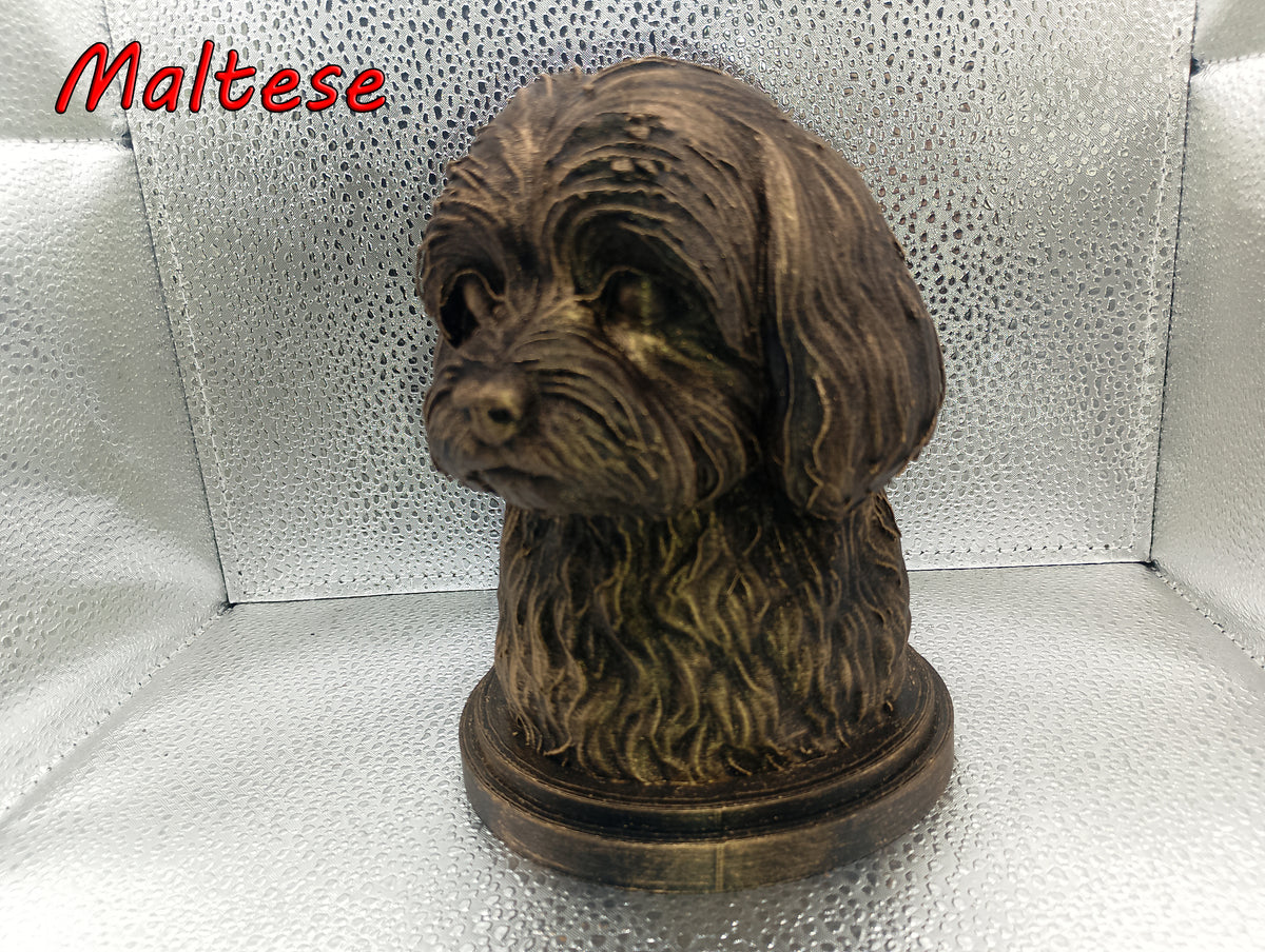 Maltese Bust