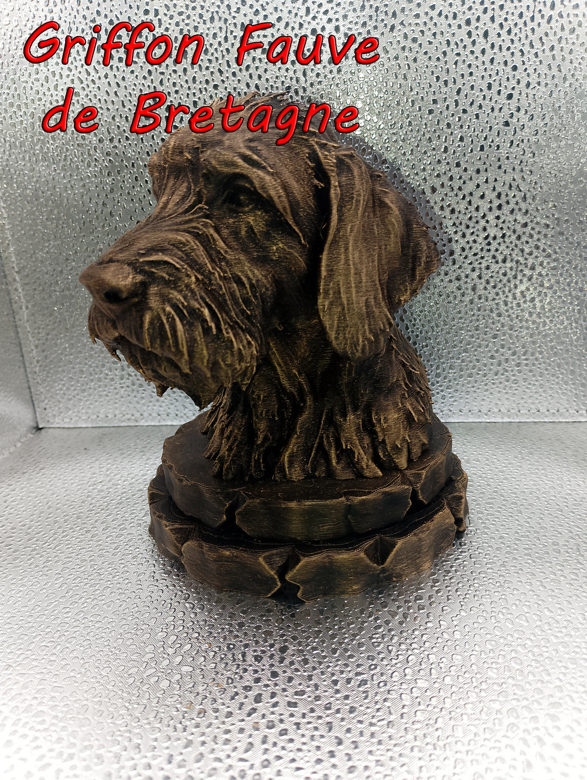 Griffon Fauve de Bretagne Bust