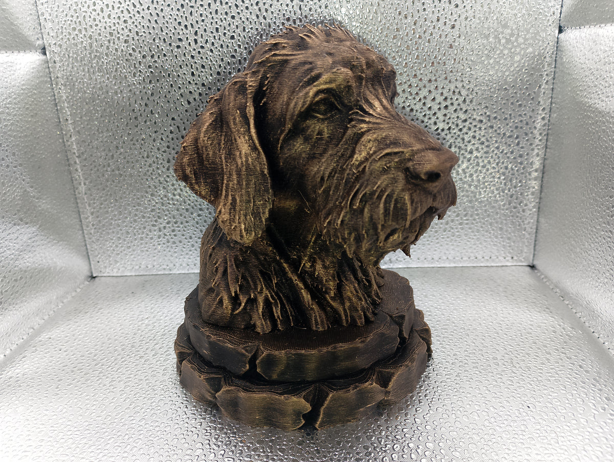 Griffon Fauve de Bretagne Bust