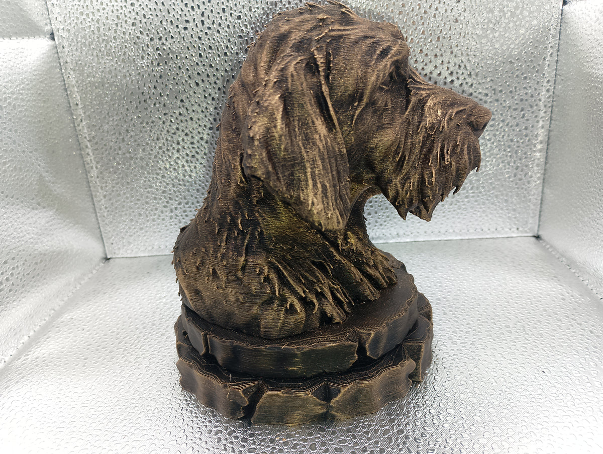 Griffon Fauve de Bretagne Bust