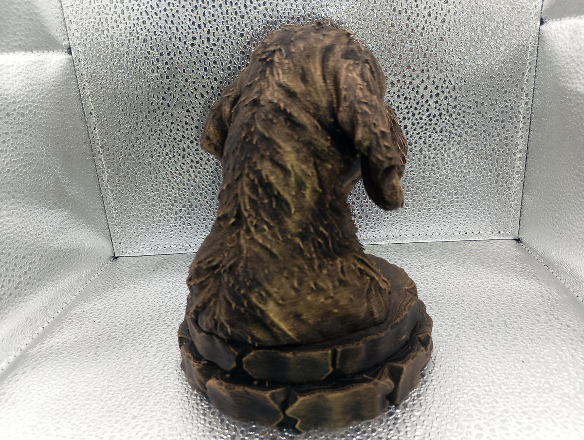 Griffon Fauve de Bretagne Bust