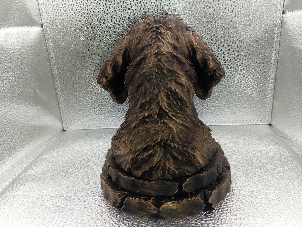 Griffon Fauve de Bretagne Bust