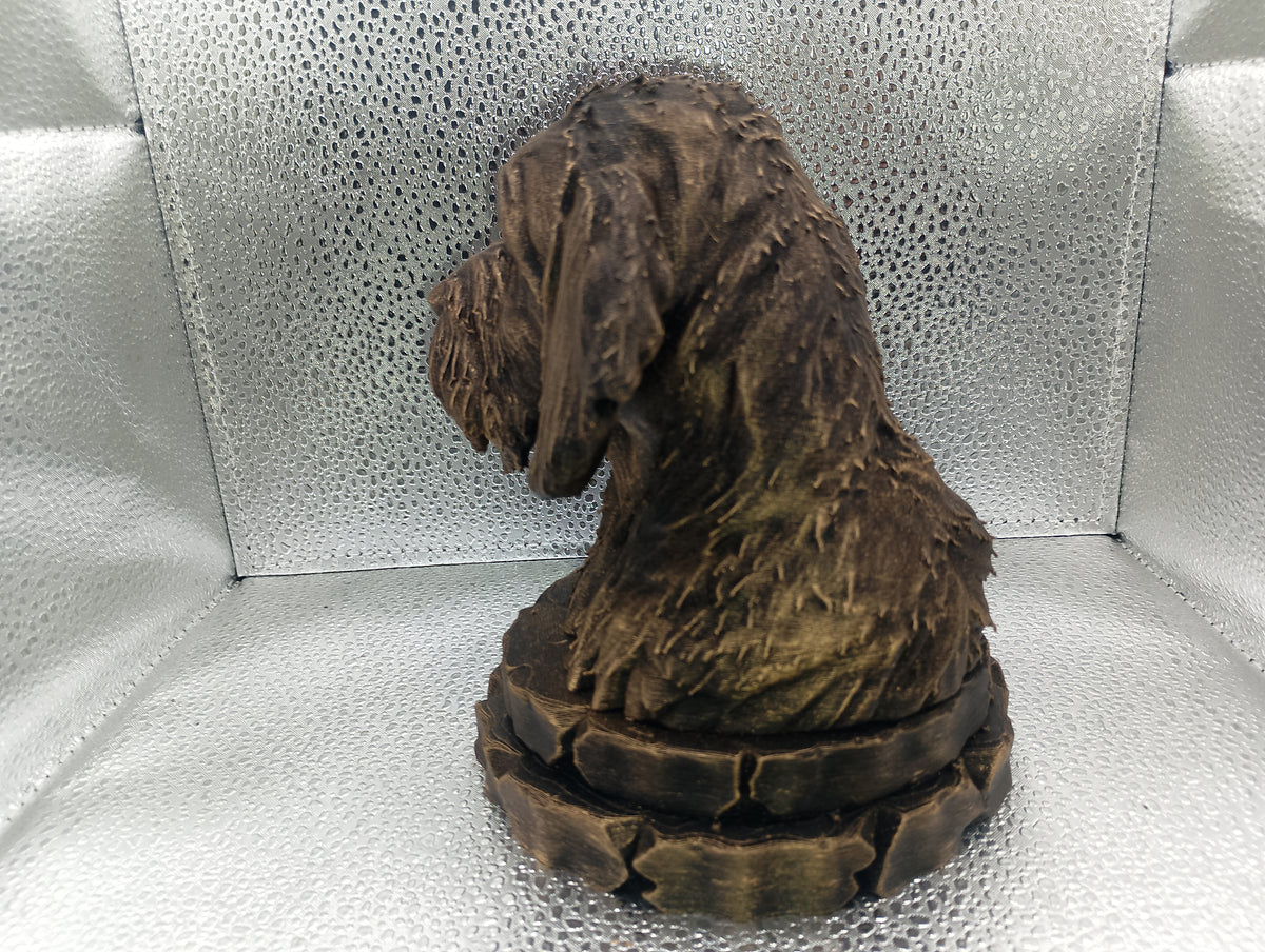 Griffon Fauve de Bretagne Bust