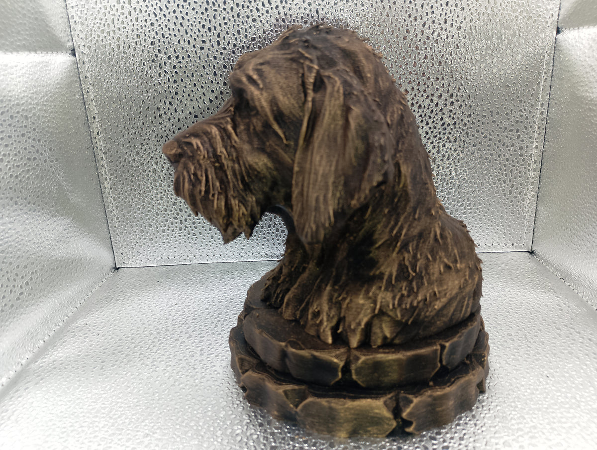 Griffon Fauve de Bretagne Bust