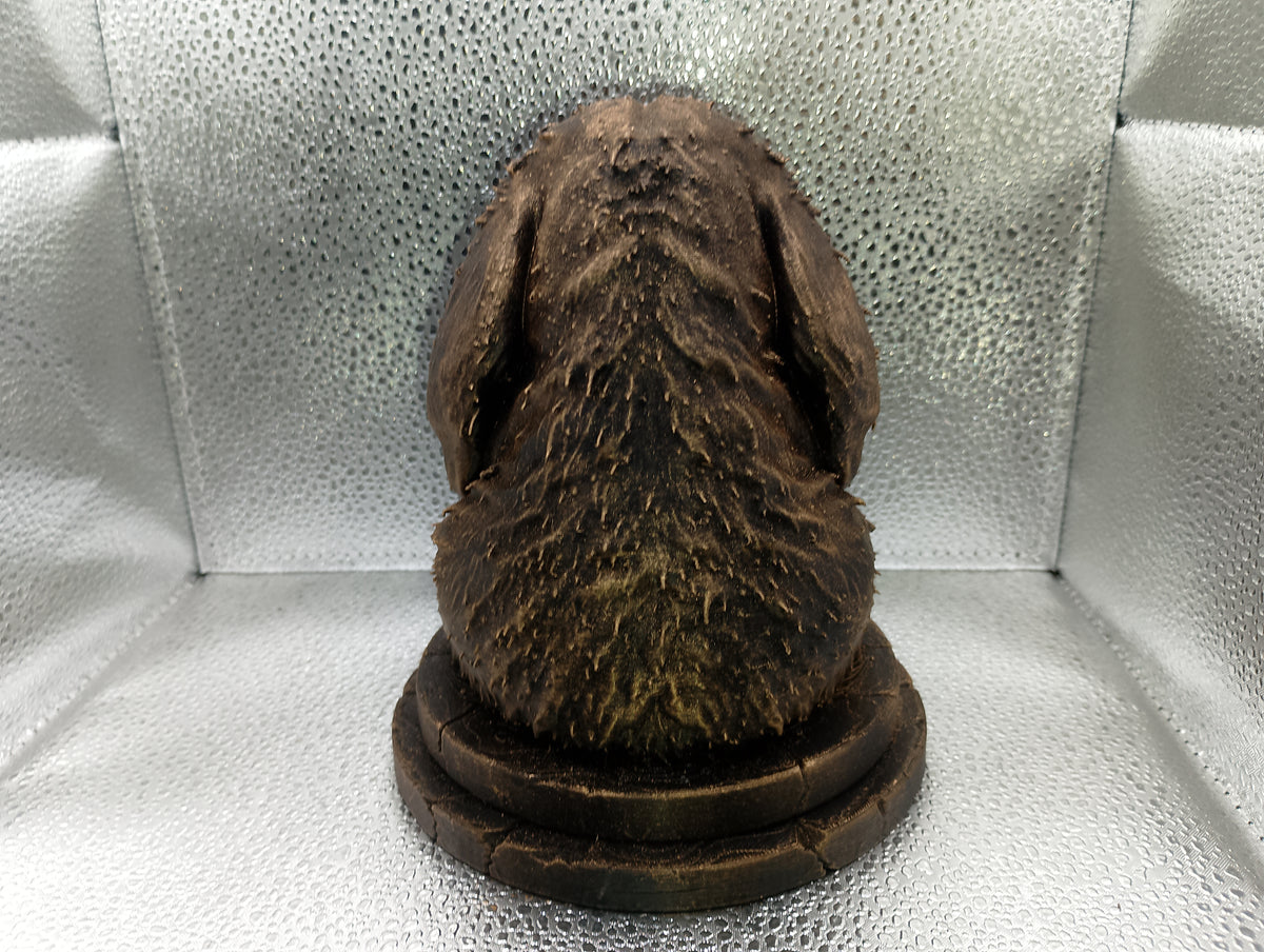 Otterhound Bust