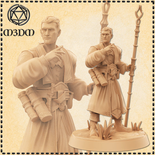 Dungeons & Dragons Imperial Sorcerer Miniature