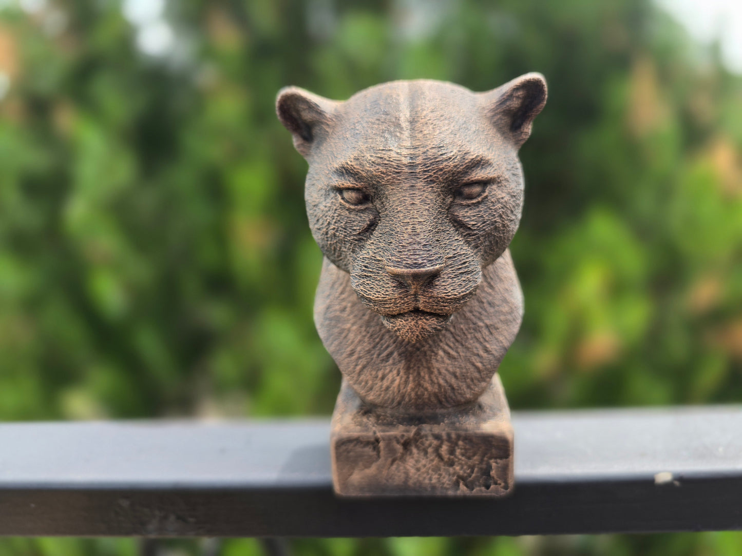 Jaguar Bust