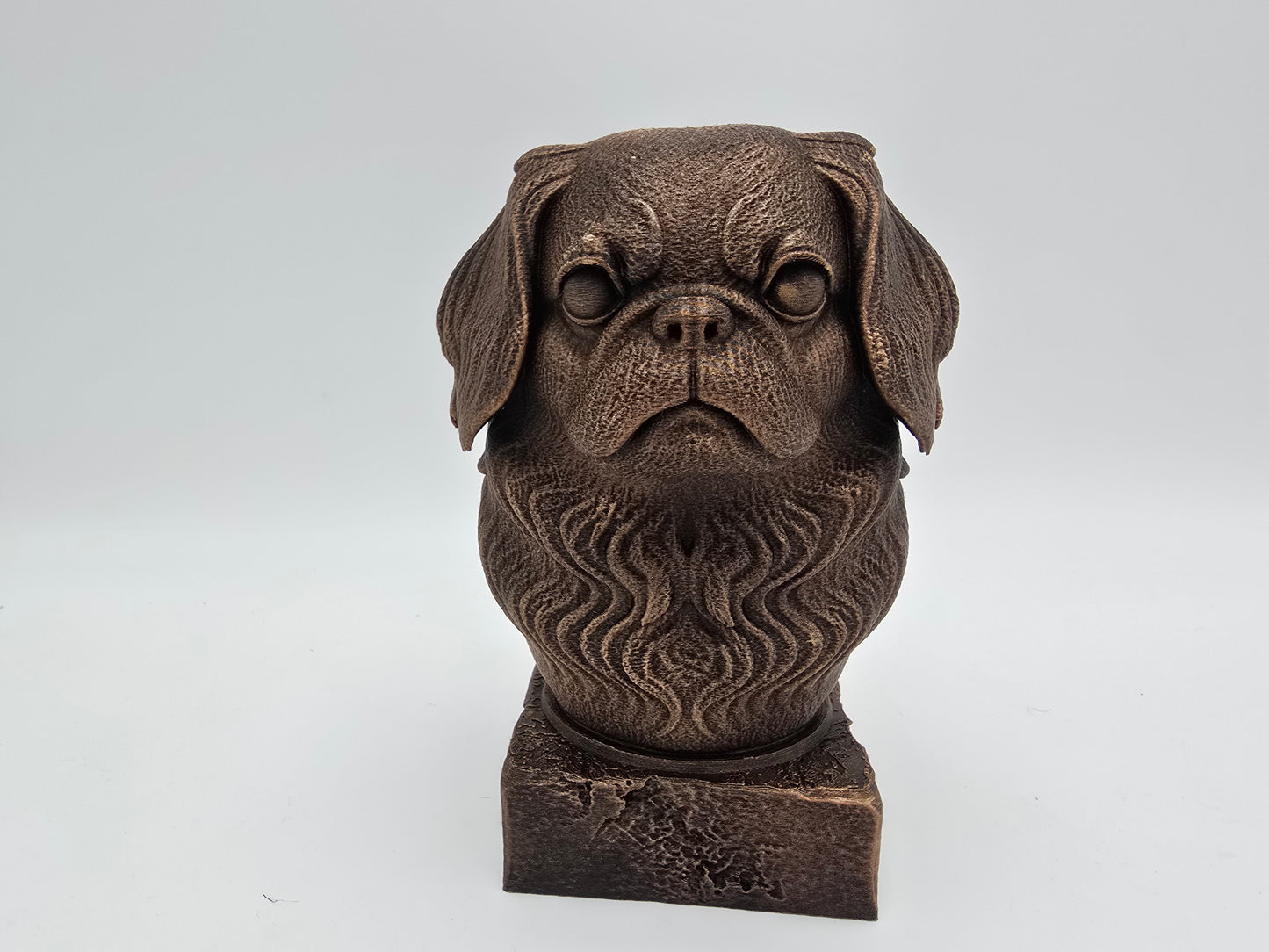 Japanese Chin Bust