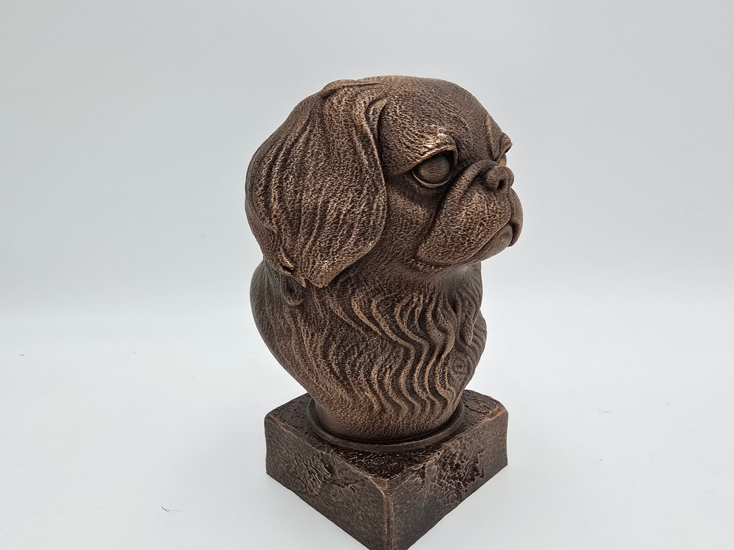 Japanese Chin Bust