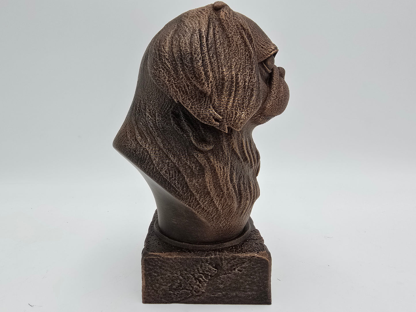 Japanese Chin Bust