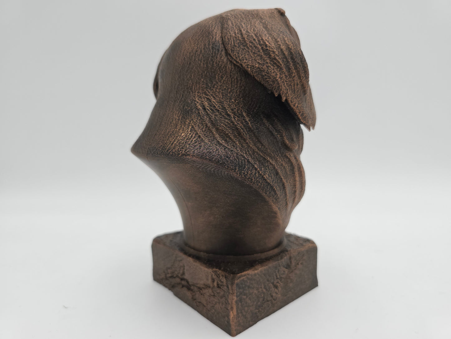 Japanese Chin Bust