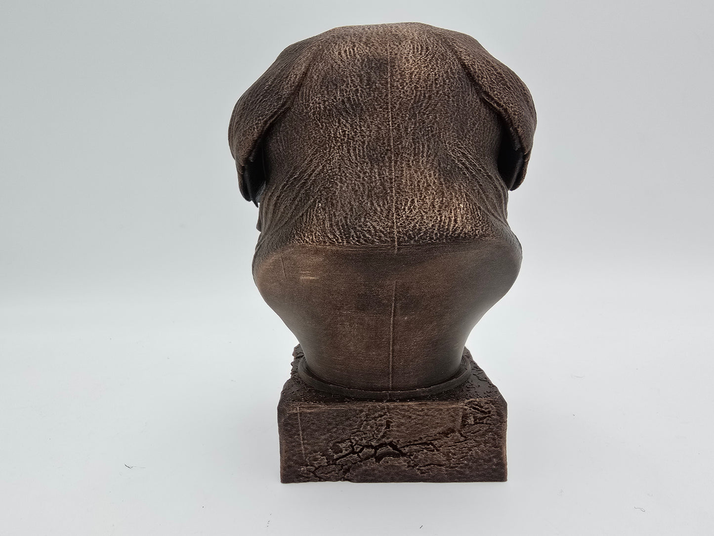 Japanese Chin Bust