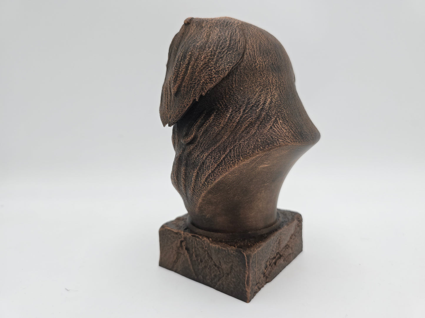 Japanese Chin Bust