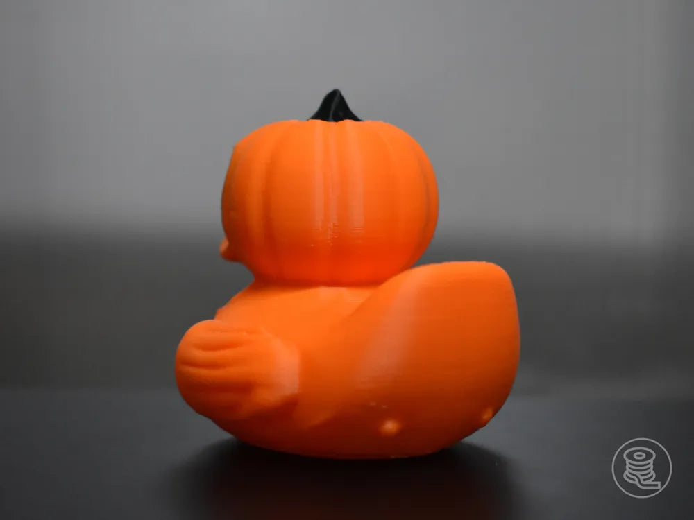 Jack O Lantern Duck