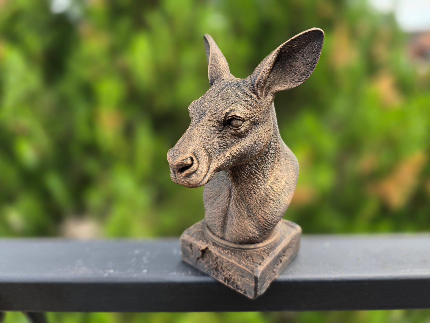 Kangaroo Bust