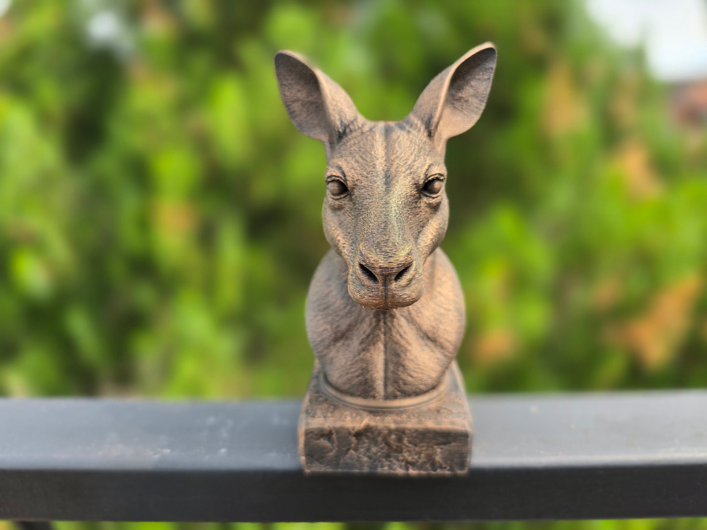 Kangaroo Bust