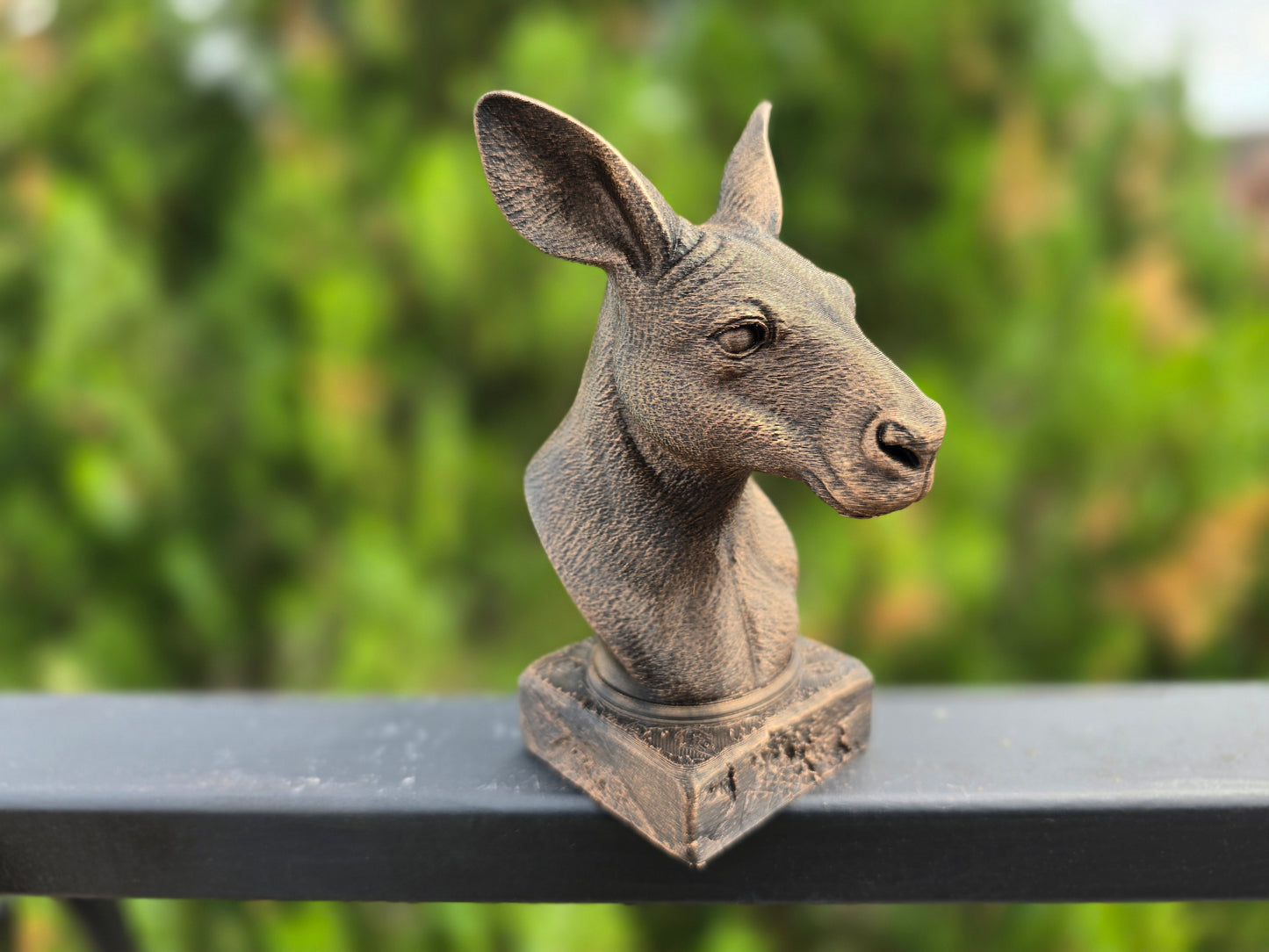 Kangaroo Bust