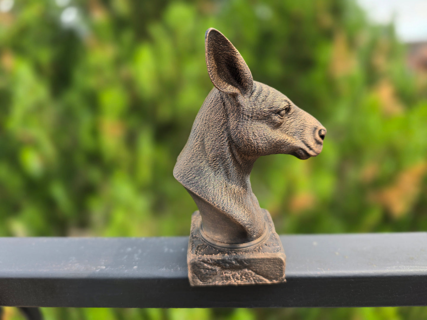 Kangaroo Bust