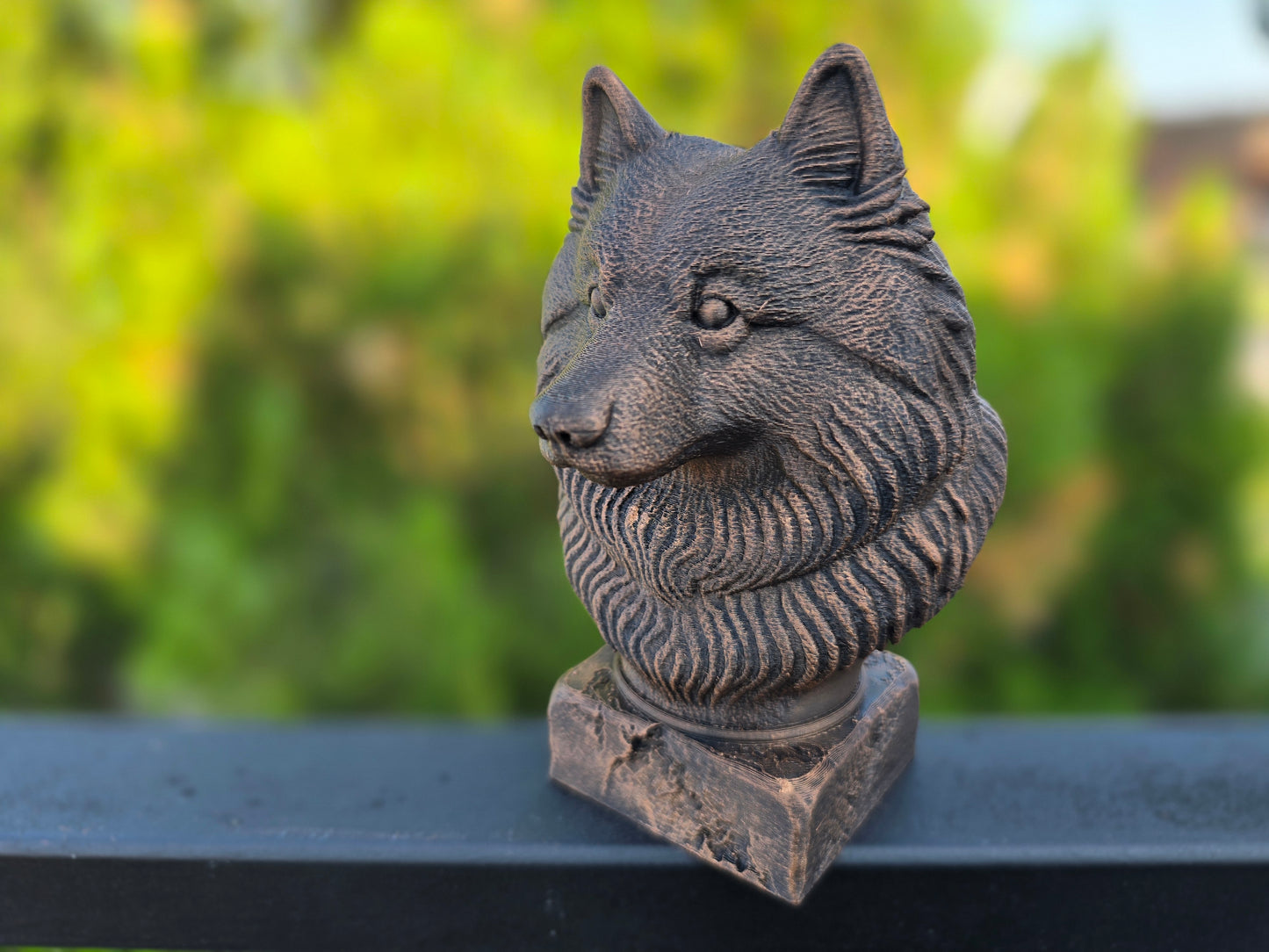 Keeshond Bust