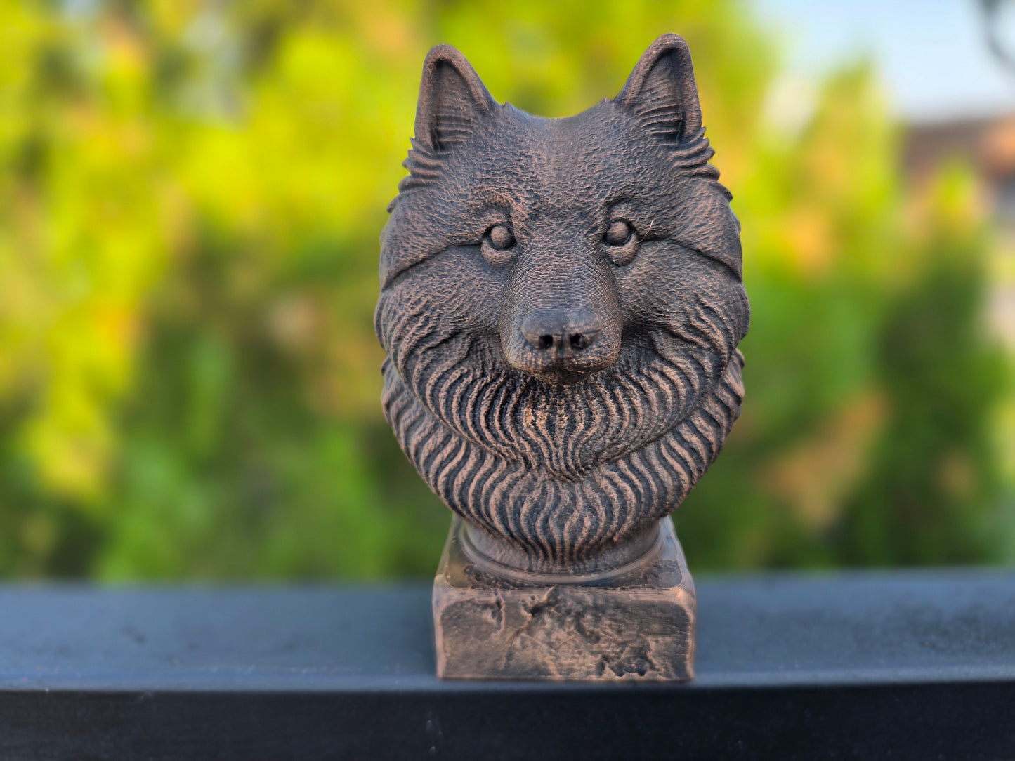 Keeshond Bust