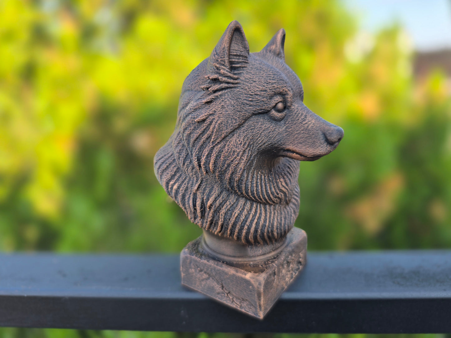 Keeshond Bust