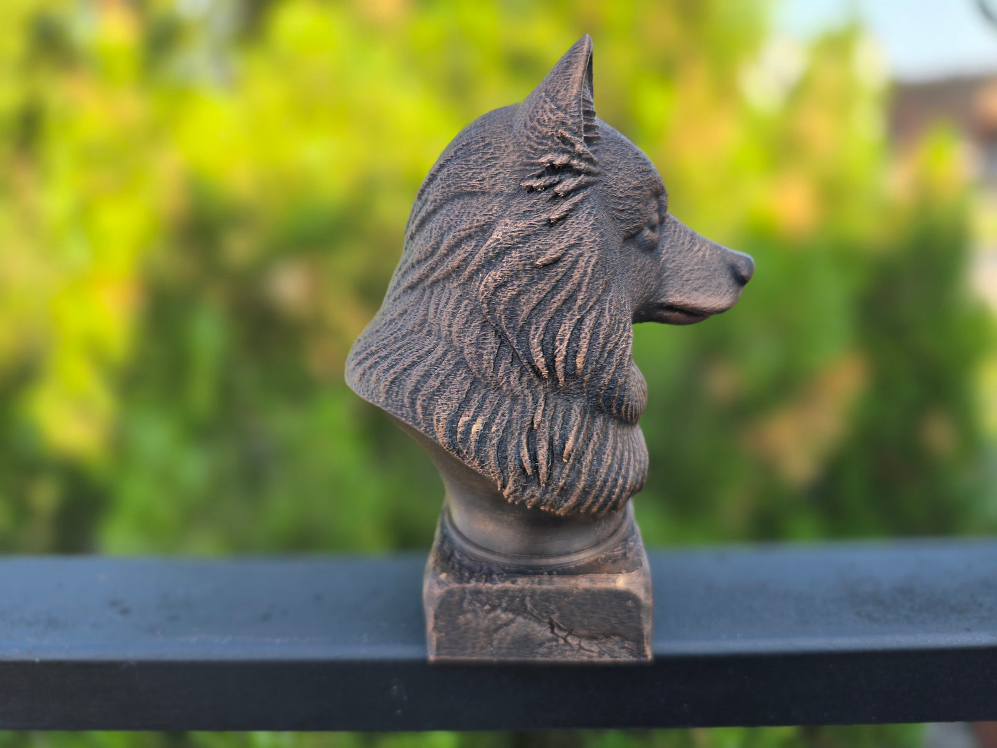 Keeshond Bust