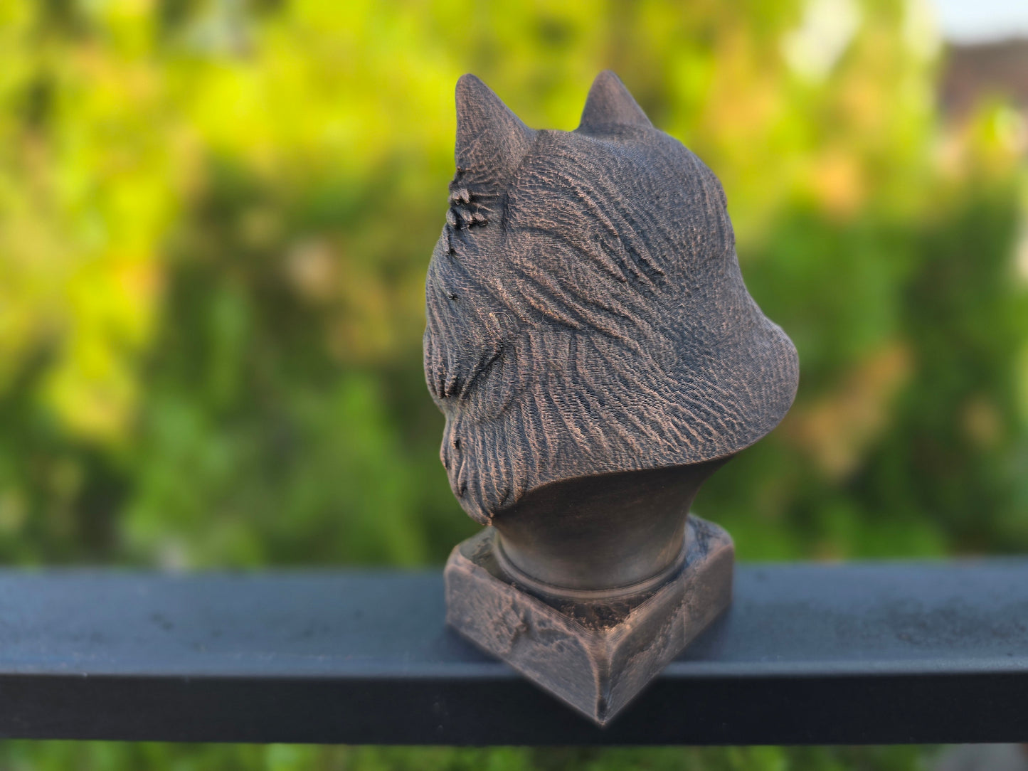 Keeshond Bust