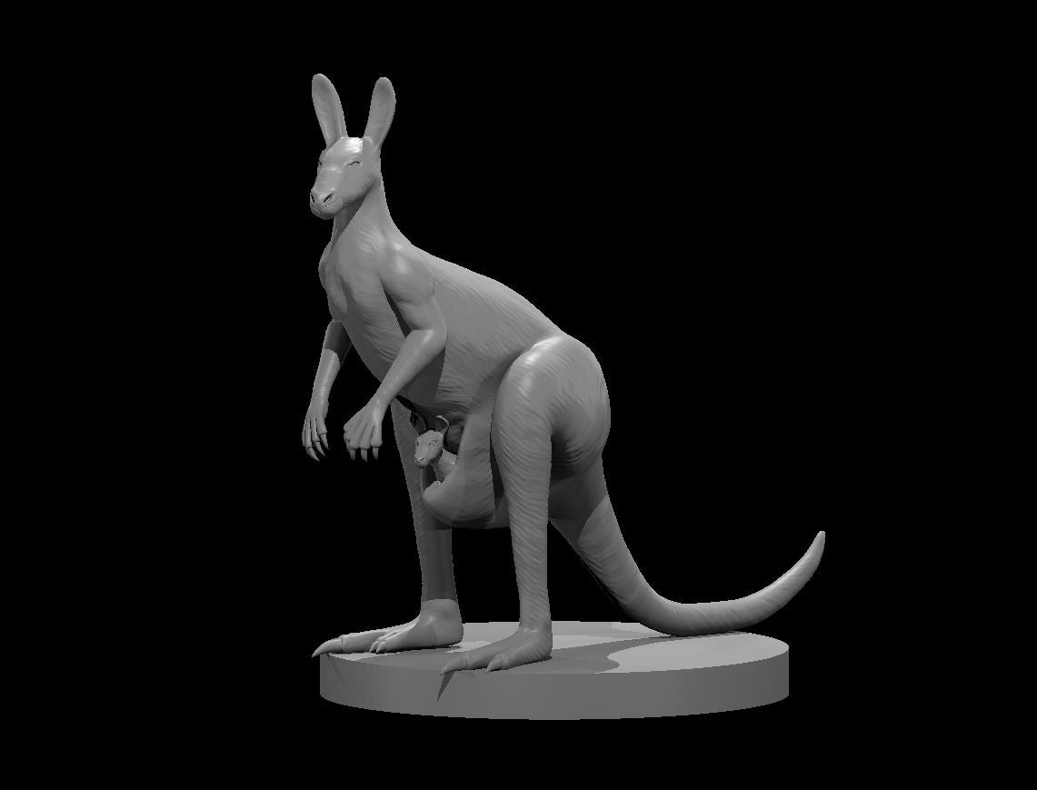 Dungeons & Dragons Kangaroo Female Miniature