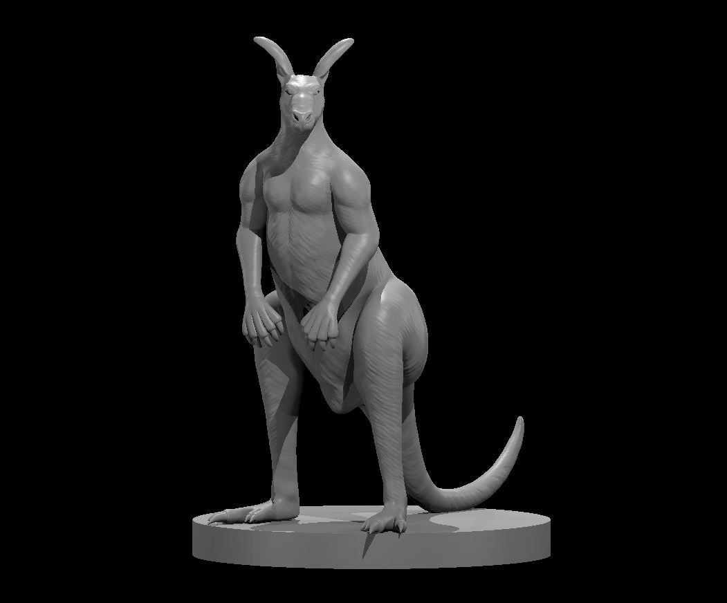 Dungeons & Dragons Kangaroo Male Miniature
