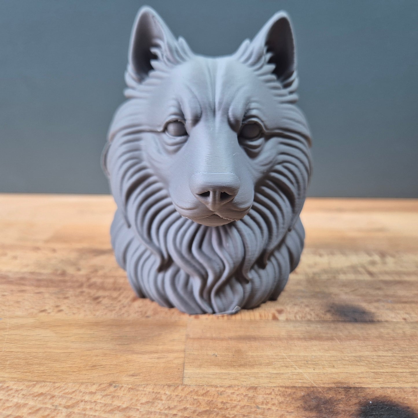 Keeshond Dog Bust