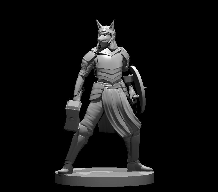 Dungeons & Dragons Khenra Cleric Miniature