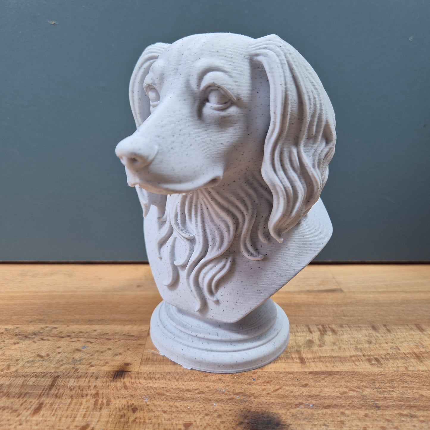 Kooikerhondje Bust