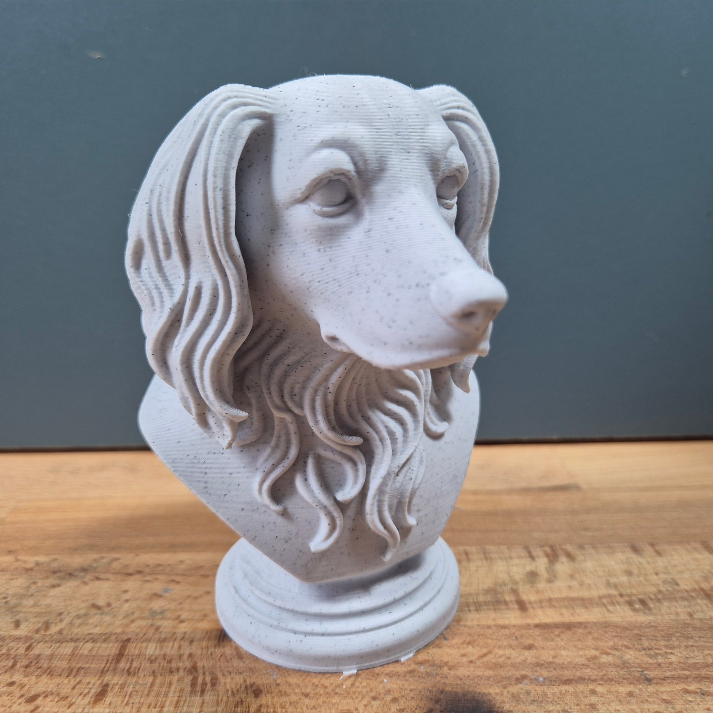 Kooikerhondje Bust