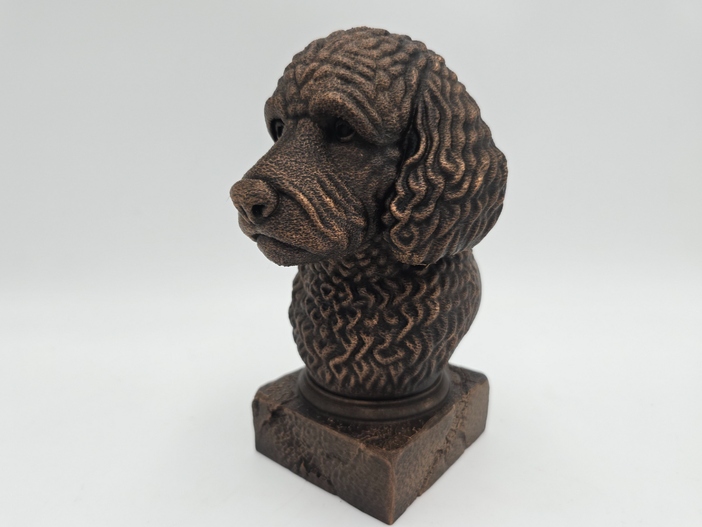Labradoodle Bust