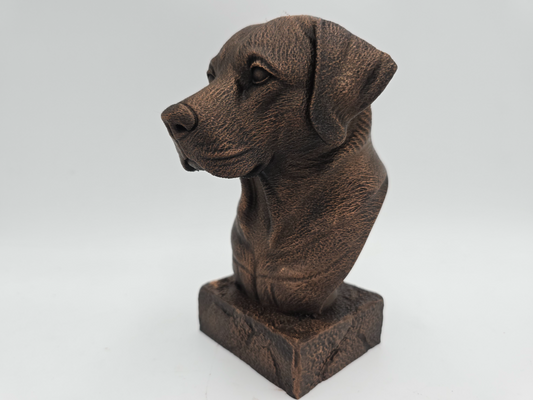 Labrador Bust