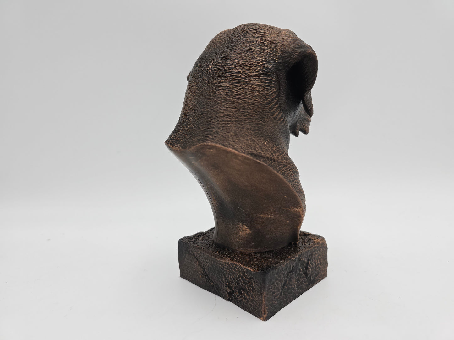 Labrador Bust