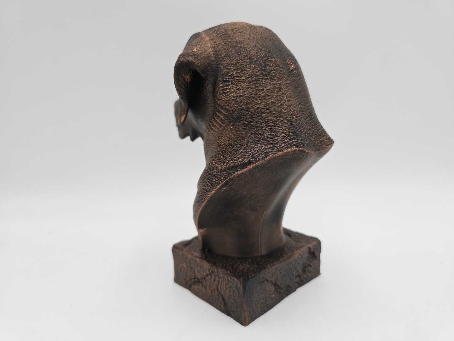 Labrador Bust
