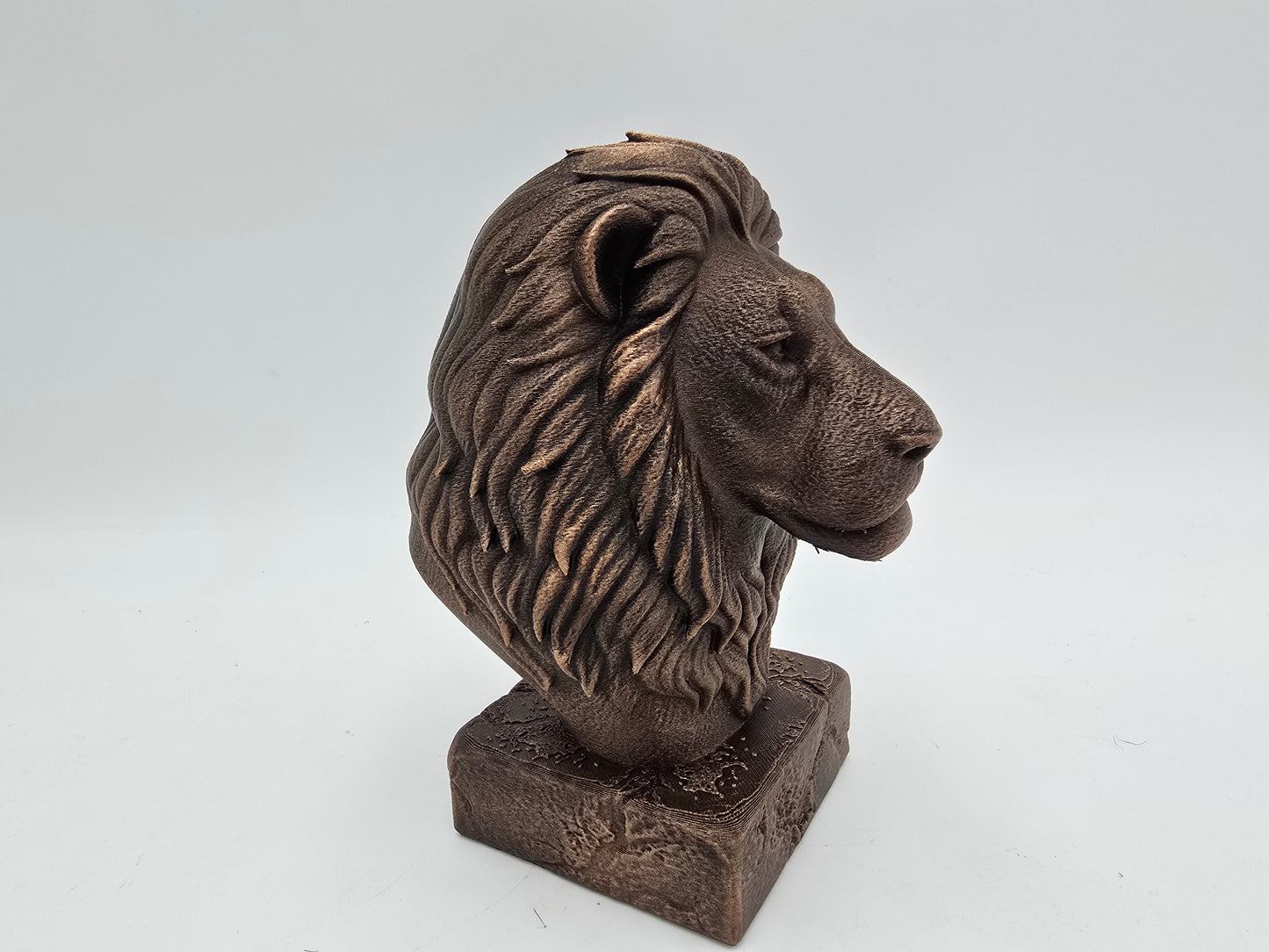 Lion Bust