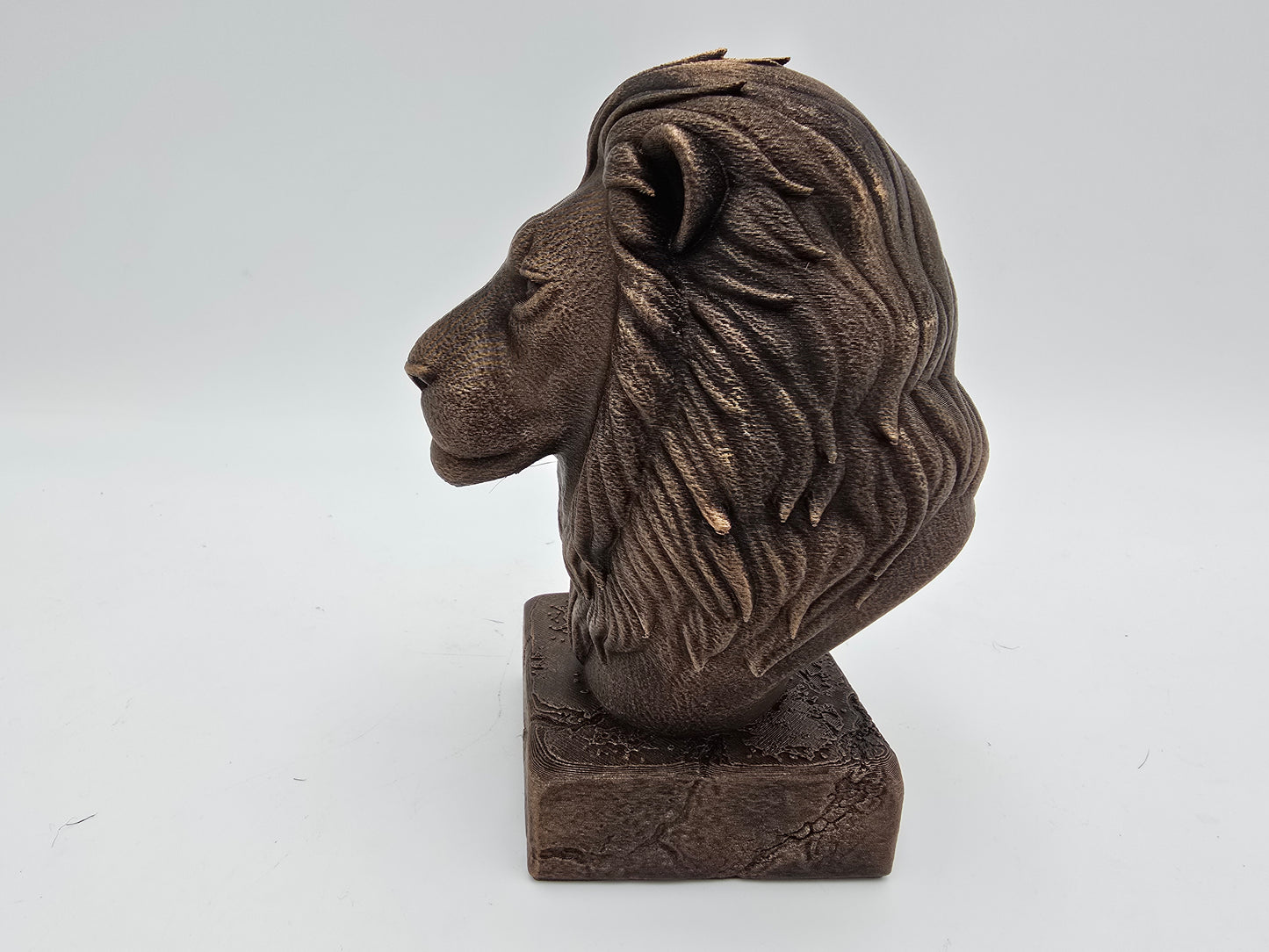 Lion Bust