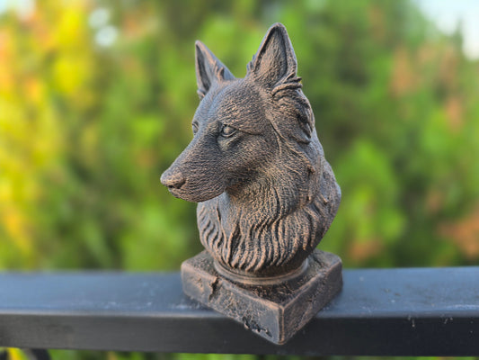 Long Haired German Shepherd Bust