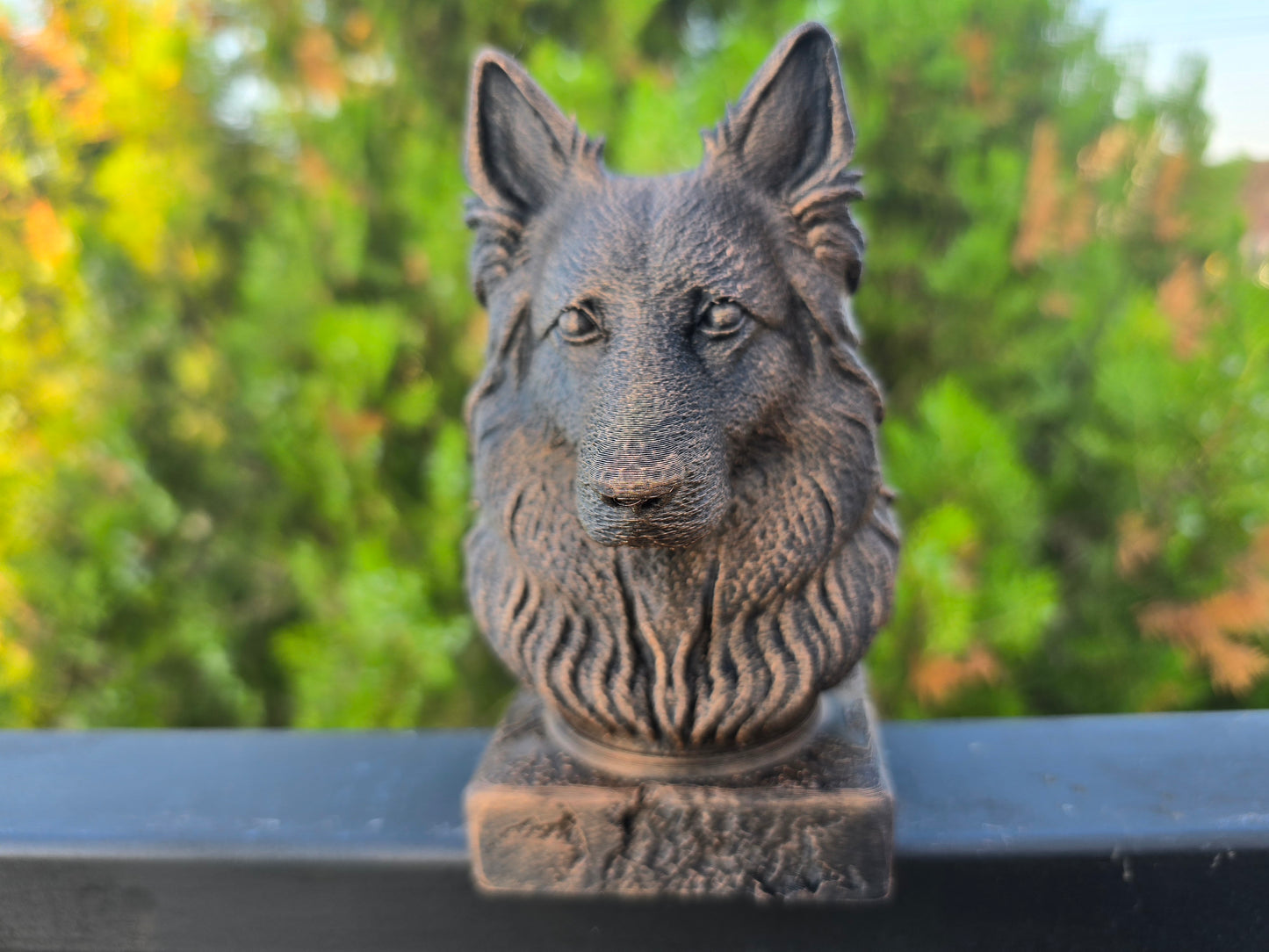 Long Haired German Shepherd Bust