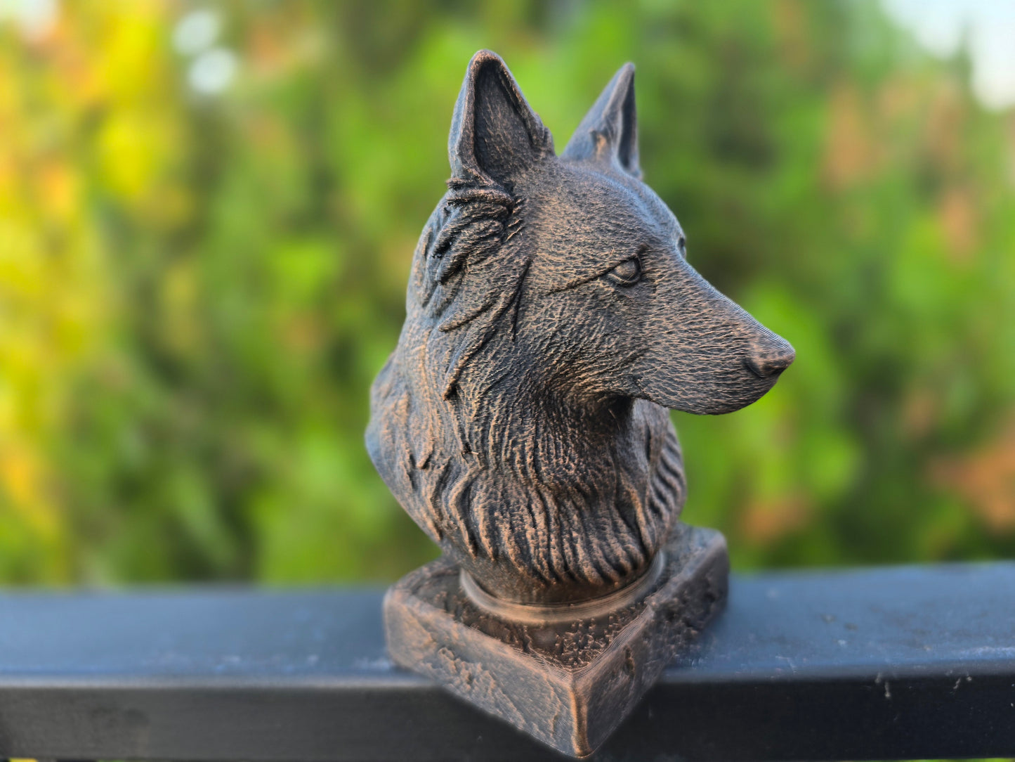 Long Haired German Shepherd Bust